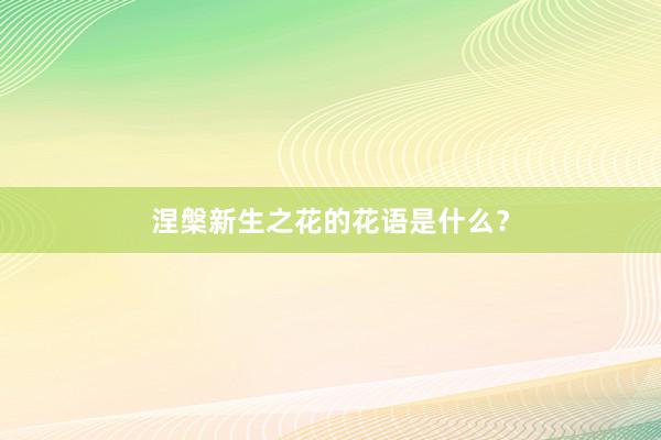 涅槃新生之花的花语是什么？