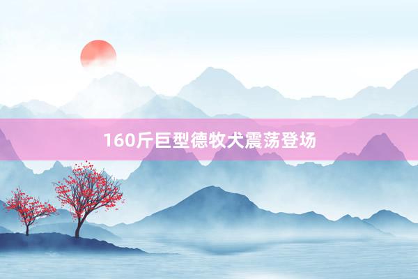 160斤巨型德牧犬震荡登场